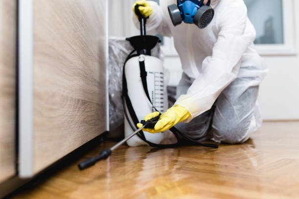 Best Best Pest Control Companies  in Liberty, TX
