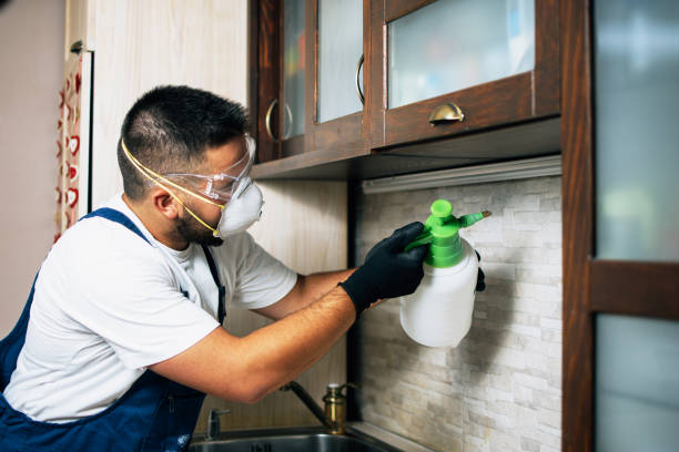 Best Pest Inspection Near Me  in Liberty, TX