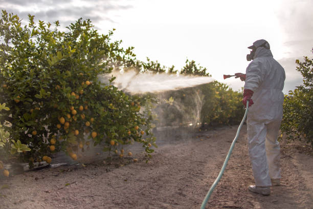 Best Affordable Exterminators  in Liberty, TX