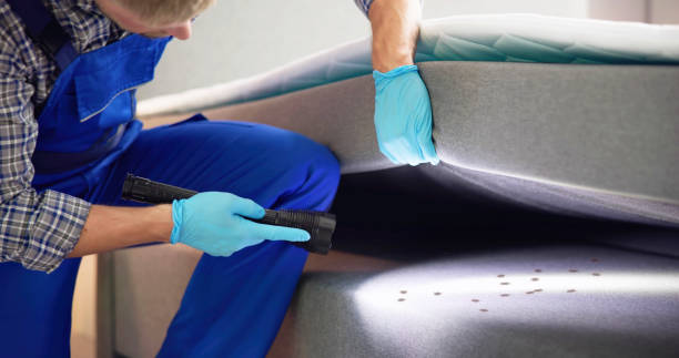 Best Pest Control for Homes  in Liberty, TX