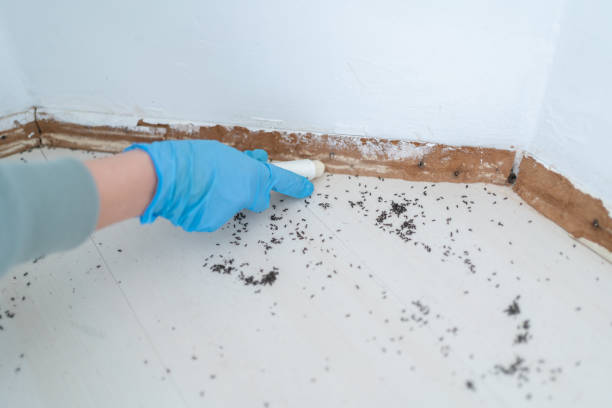 Best Wasp Removal Services  in Liberty, TX